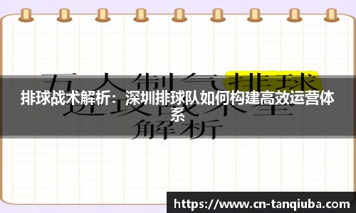 排球战术解析:深圳排球队如何构建高效运营体系