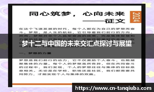 梦十二与中国的未来交汇点探讨与展望